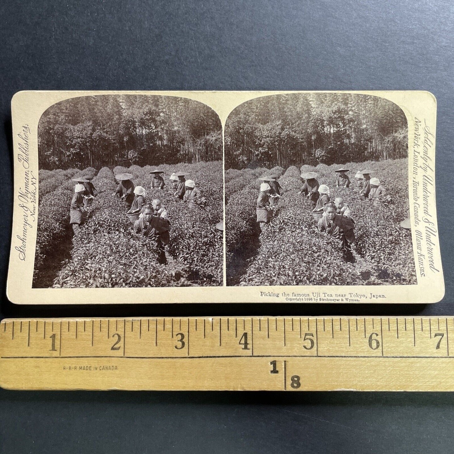 Antique 1896 Women And Children Pick Tea Tokyo Japan Stereoview Photo Card P1500