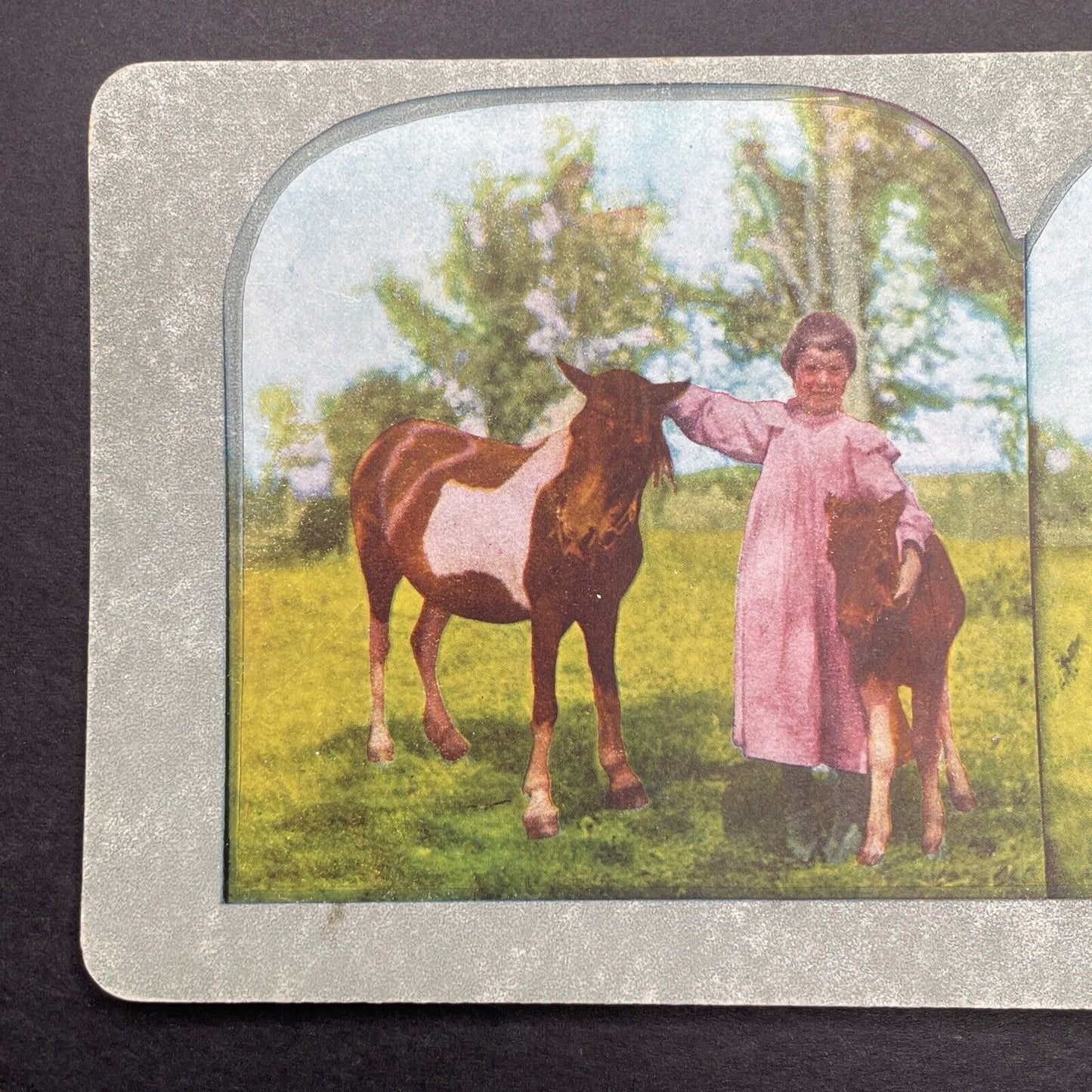 Antique 1899 Child With Her Ponies Pony Horse Stereoview Photo Card P580-016