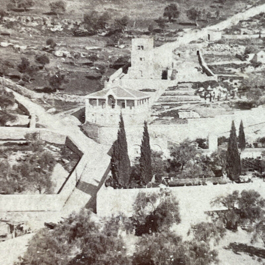 Antique 1899 Garden Of Gethsemane Jerusalem Israel Stereoview Photo Card P3907