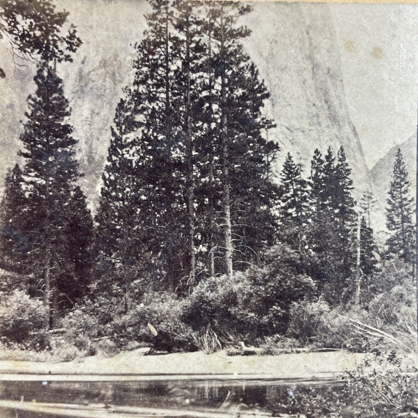 Antique 1880s Cathedral Rocks Yosemite California Stereoview Photo Card P3494