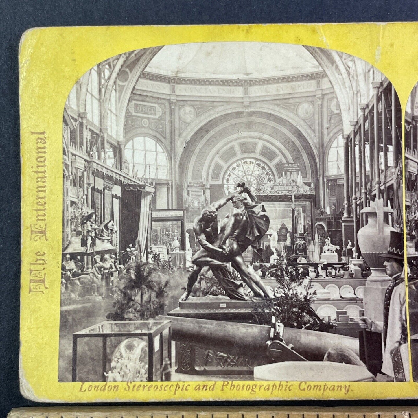 Swedish Court Display Stereoview London Exhibition Antique c1862 Y1402