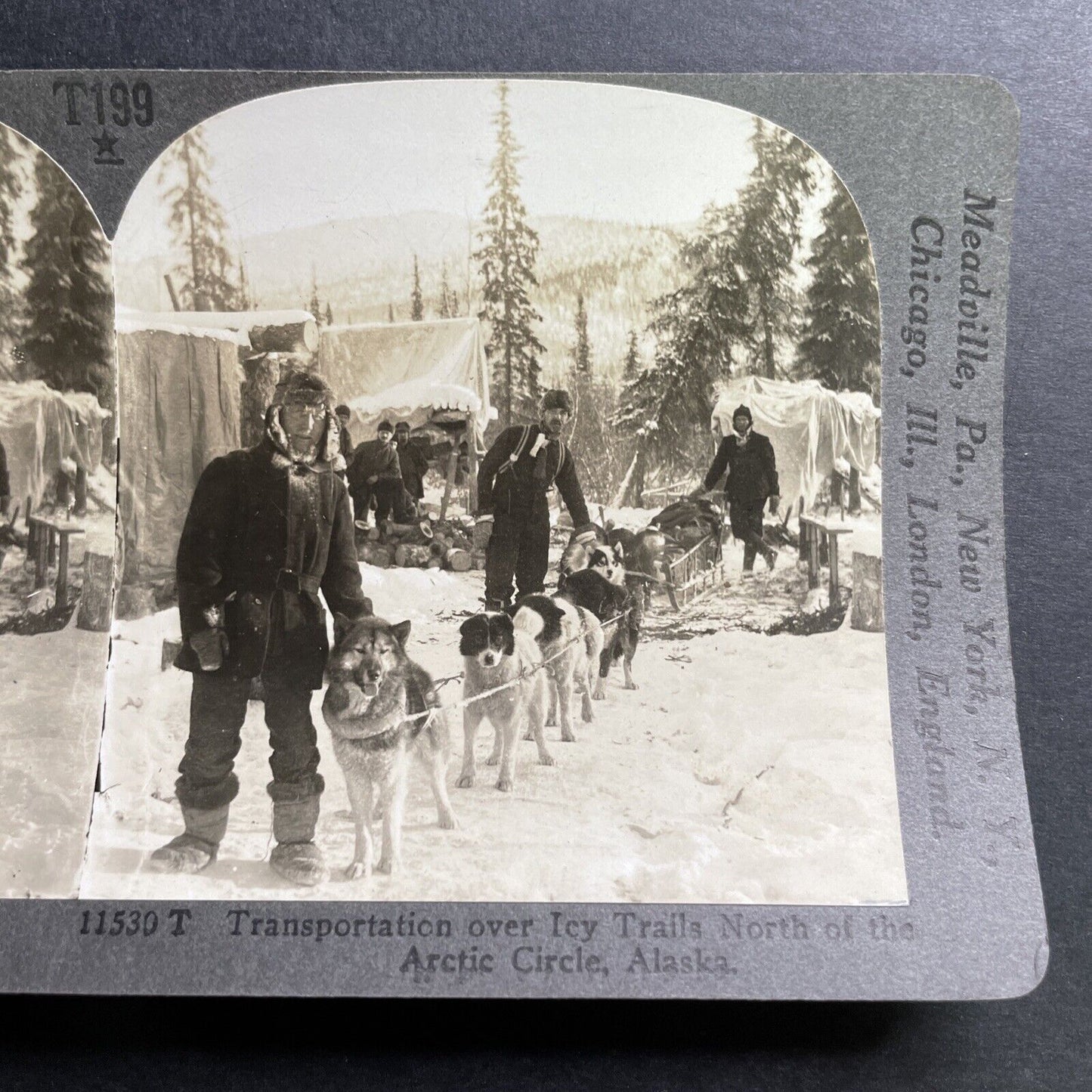 Antique 1909 Dogsledding In Northern Alaska Stereoview Photo Card P1489