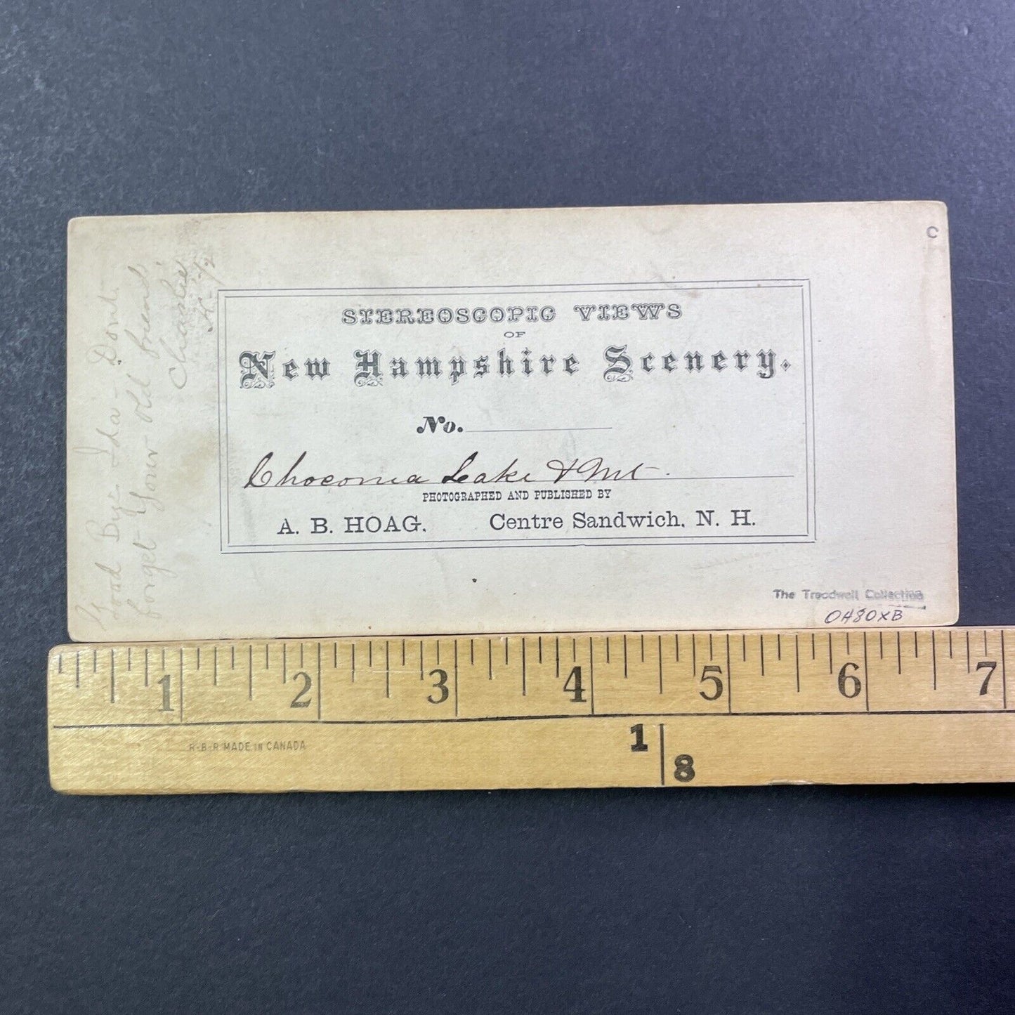 Chocorua Lake Pequawket NH Stereoview Photo AB Hoag Antique c1872 Treadwell X937