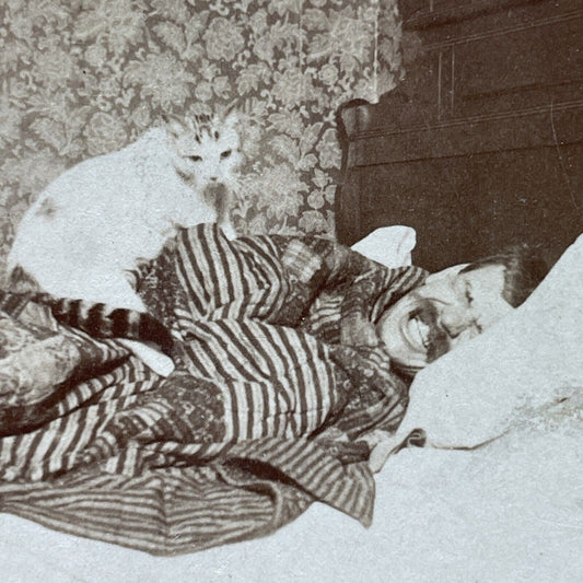 Antique 1892 Cat Wakes Man Up From Sleep Nap Stereoview Photo Card P2508