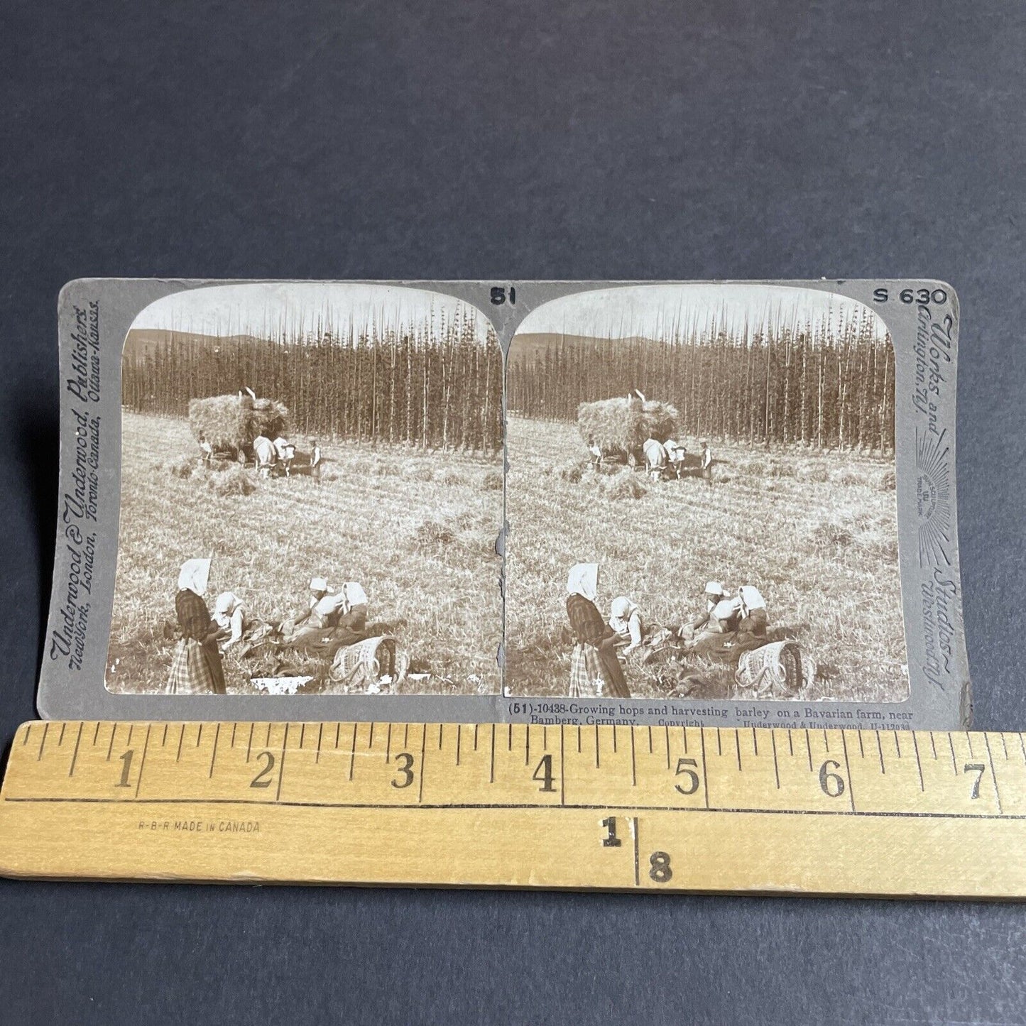 Antique 1900 Traditional Bavarian Women Farmers Stereoview Photo Card P4471