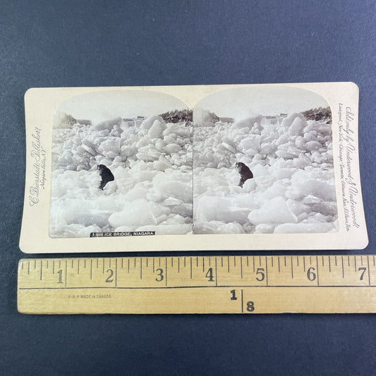 Dog Stuck on Niagara Falls River Ice Bridge Stereoview Antique c1880 Y2572