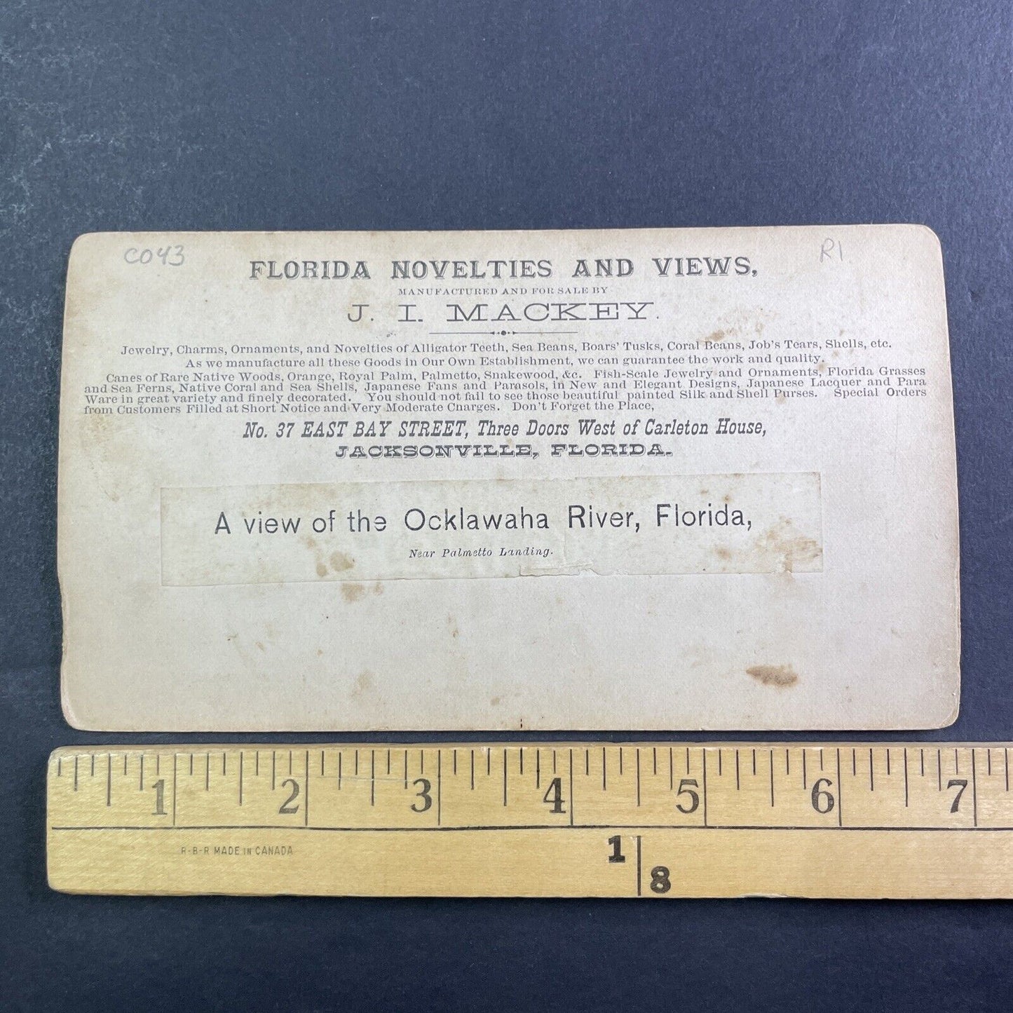 Ocklawaha River near Gores Landing Florida Stereoview c1885 J.I. Mackey Y093