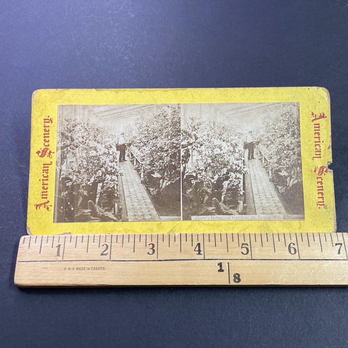 Antique 1870s Missouri Botanical Gardens St. Louis Stereoview Photo Card P3970