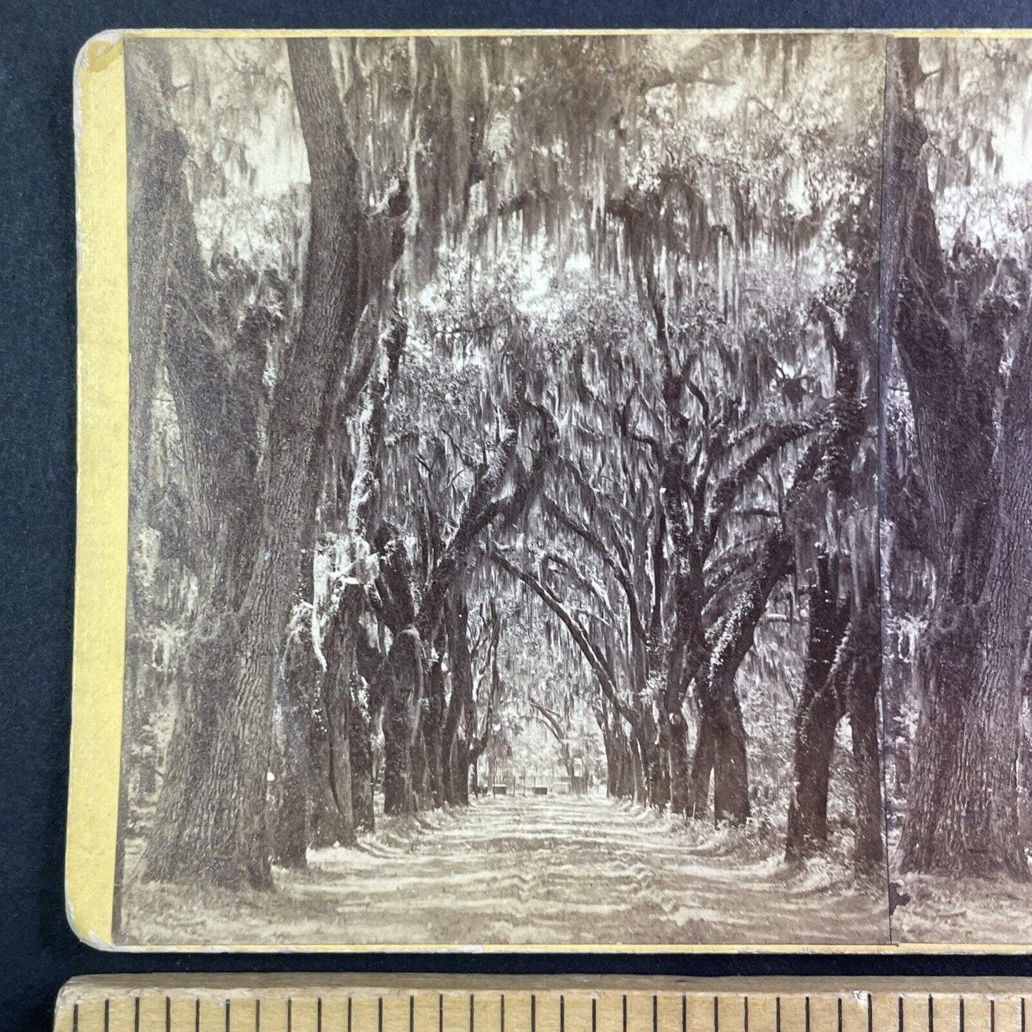 Bonaventure Cemetery Savannah Georgia Stereoview J.N. Wilson Antique c1870s Y467