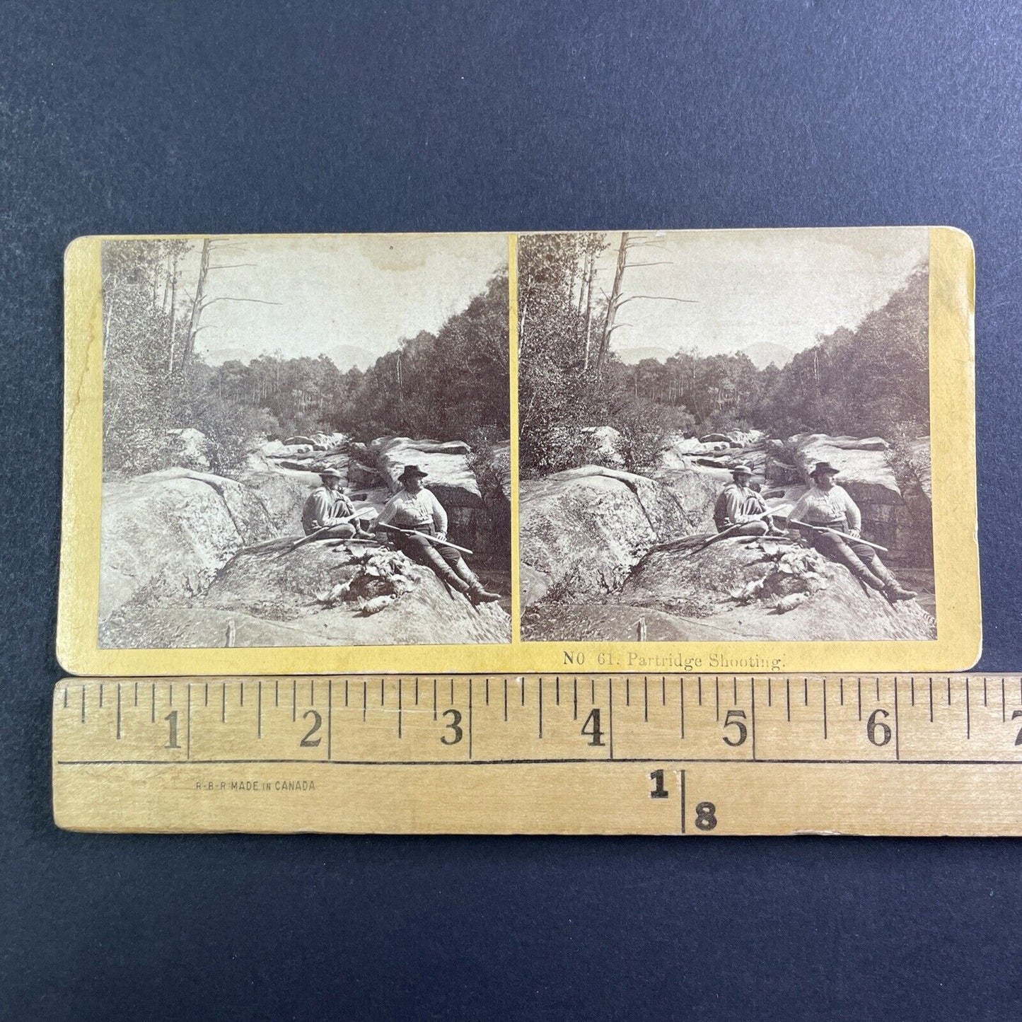 Hunting Partridge White Mountains NH Stereoview Antique c1872 X1533