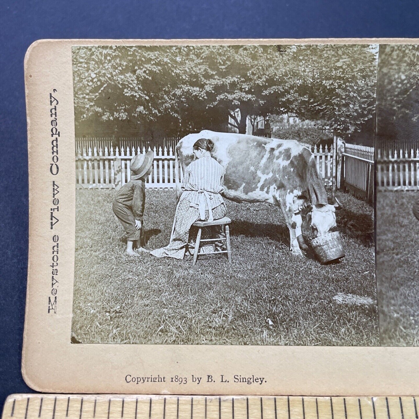 Antique 1893 Woman Squirts Milk Into Boy's Mouth Stereoview Photo Card P3117