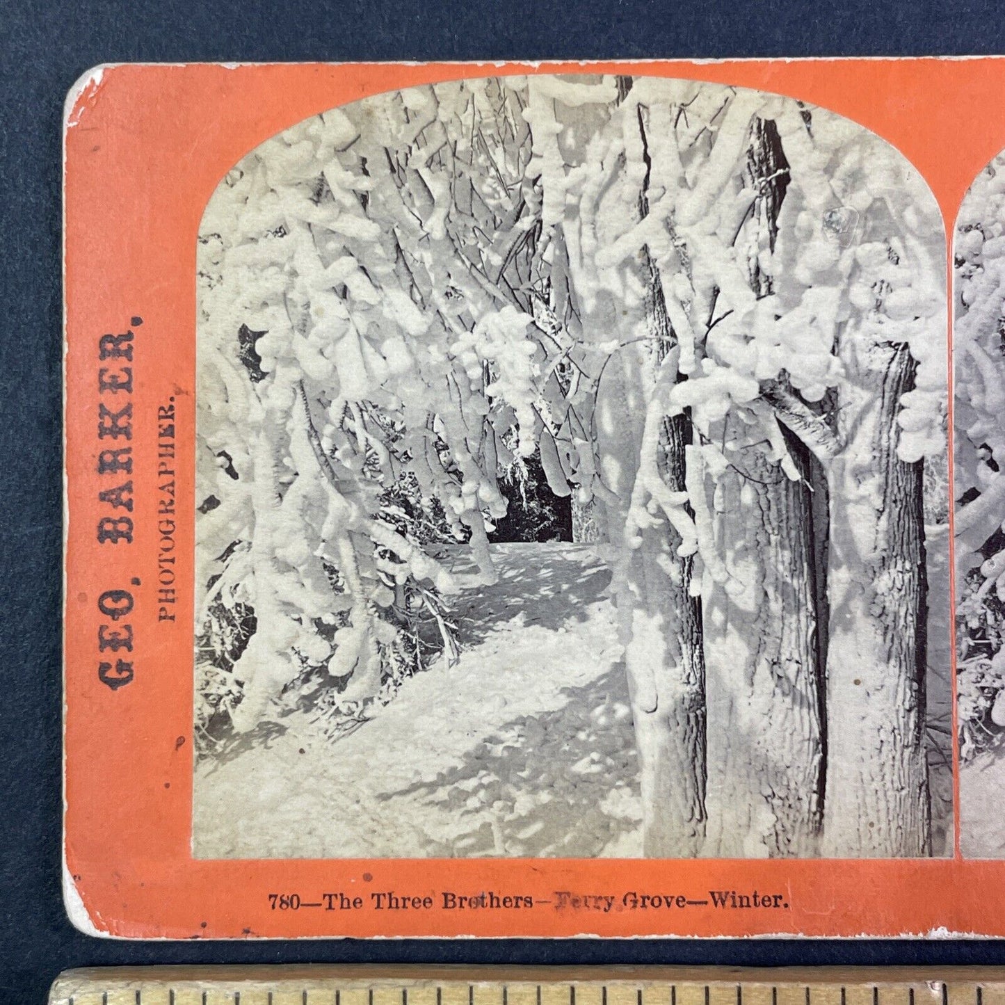 Ferry Grove Tree Stand Niagara Falls Stereoview George Barker c1870s Y2459