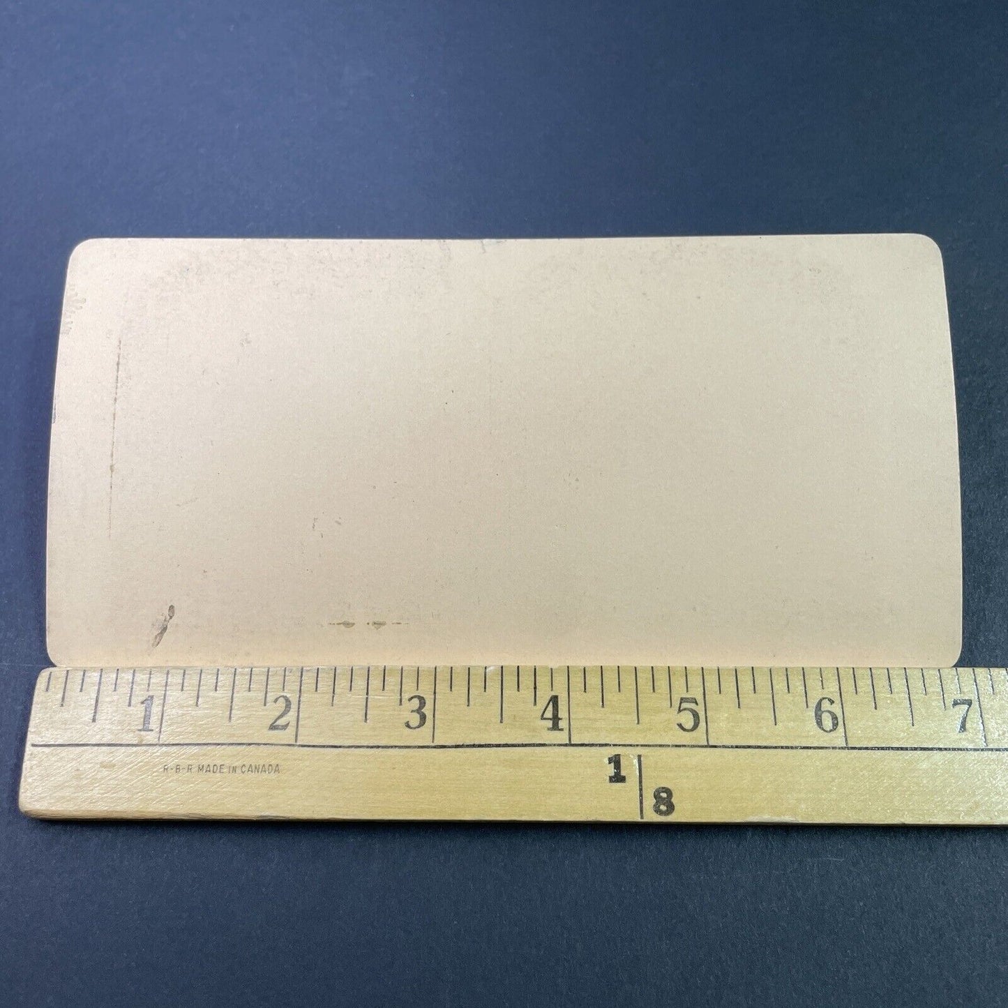 Antique 1890s Babies & Children Fall Asleep In Woods Stereoview Photo Card P3349