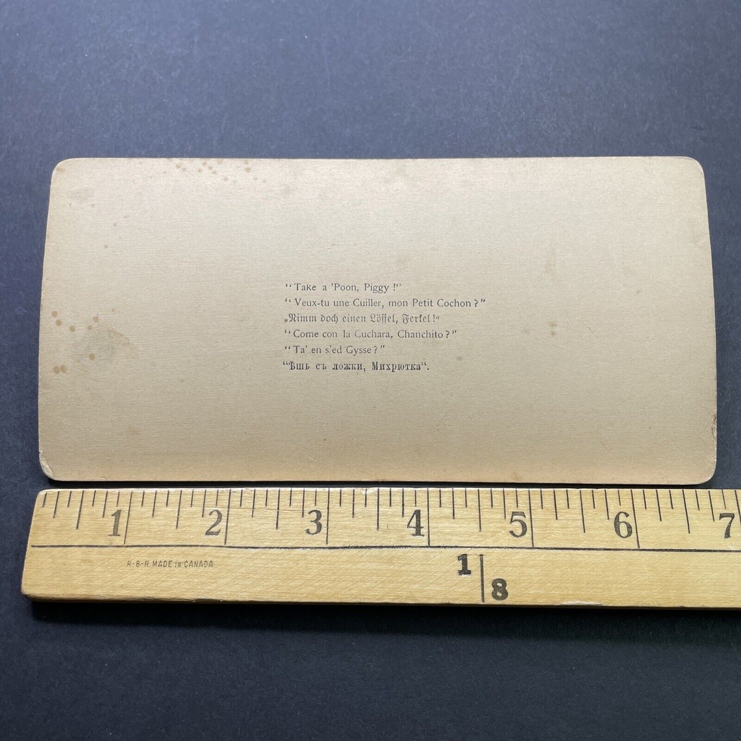 Antique 1897 Child Feeds Pig On Farm Stereoview Photo Card P2416