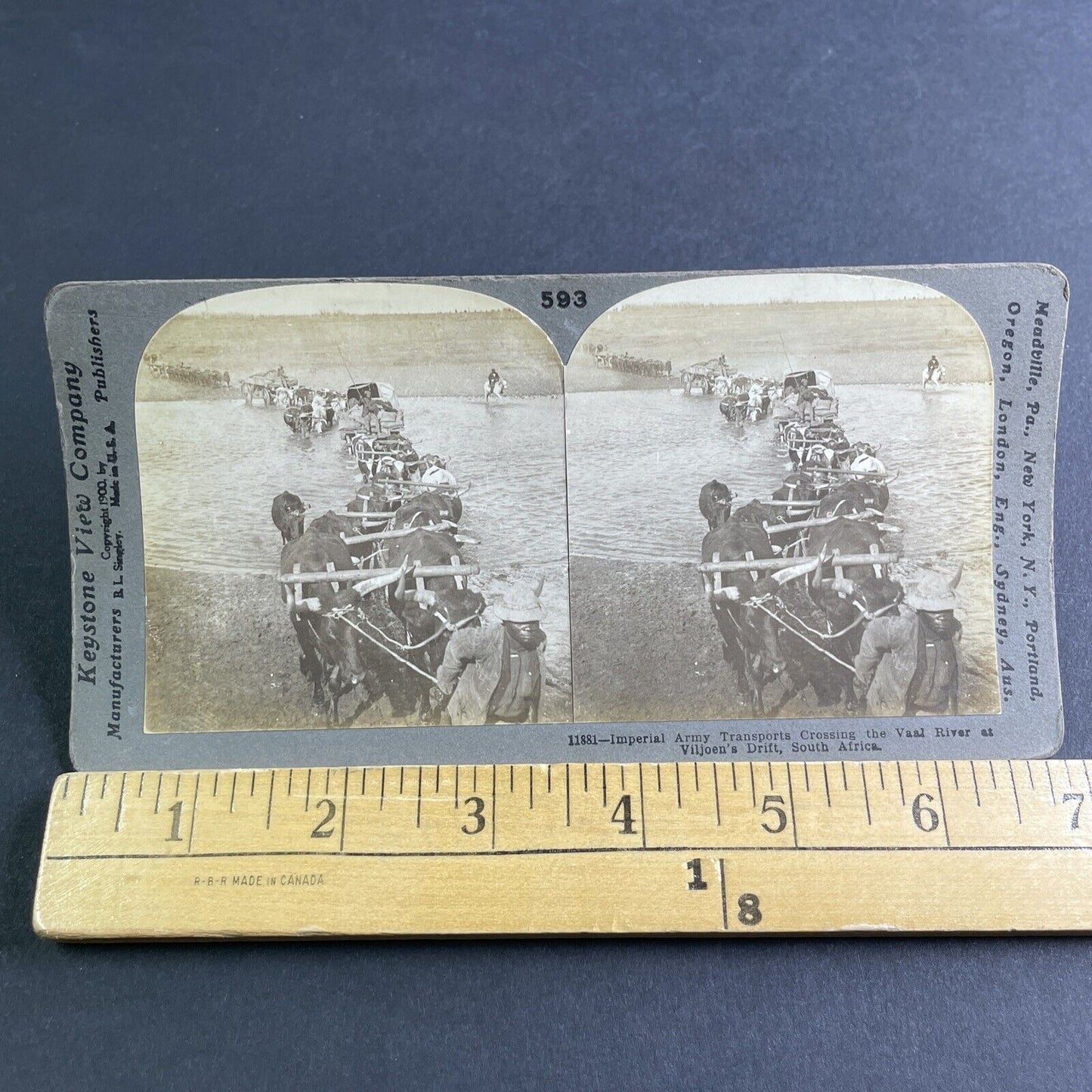 Antique 1900 Viljoensdrift Robertson South Africa Stereoview Photo Card P2140