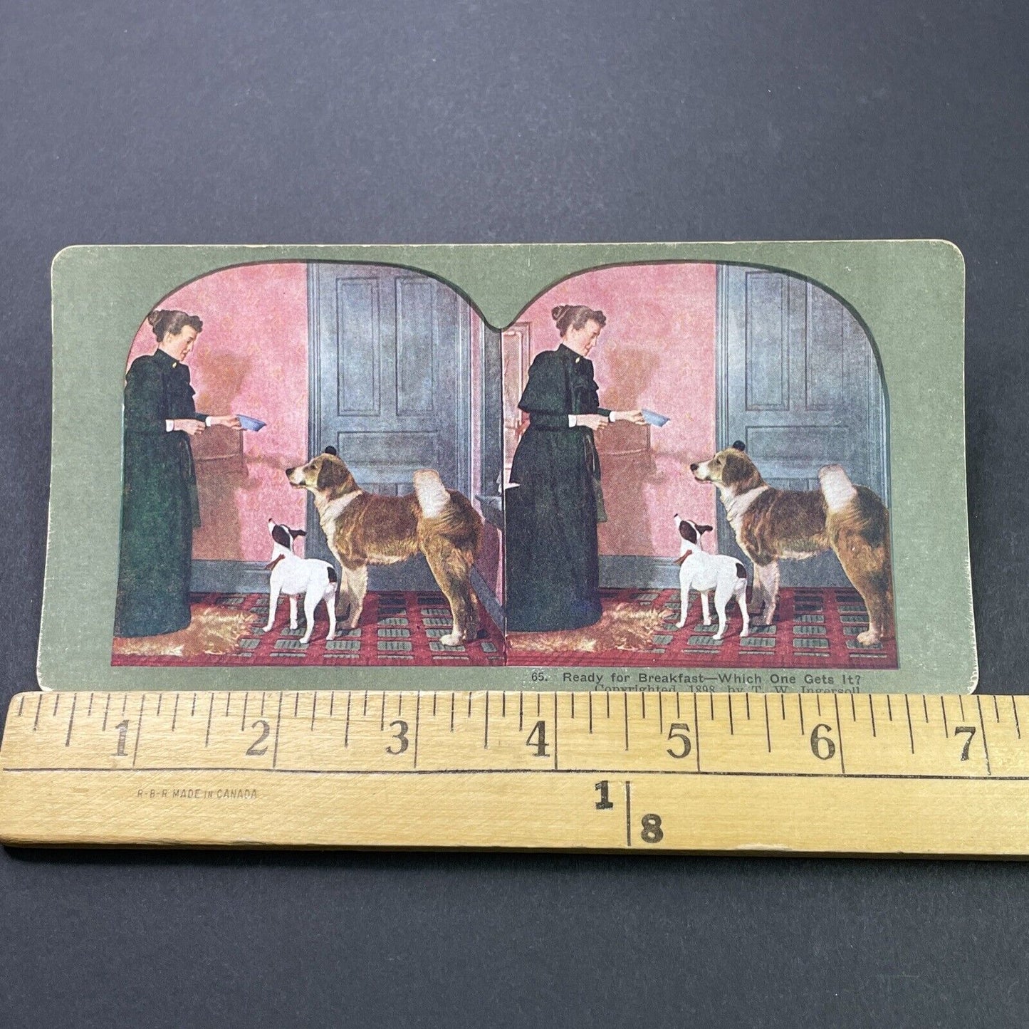 Antique 1898 Woman Feeds Her Dogs Breakfast Stereoview Photo Card P3122