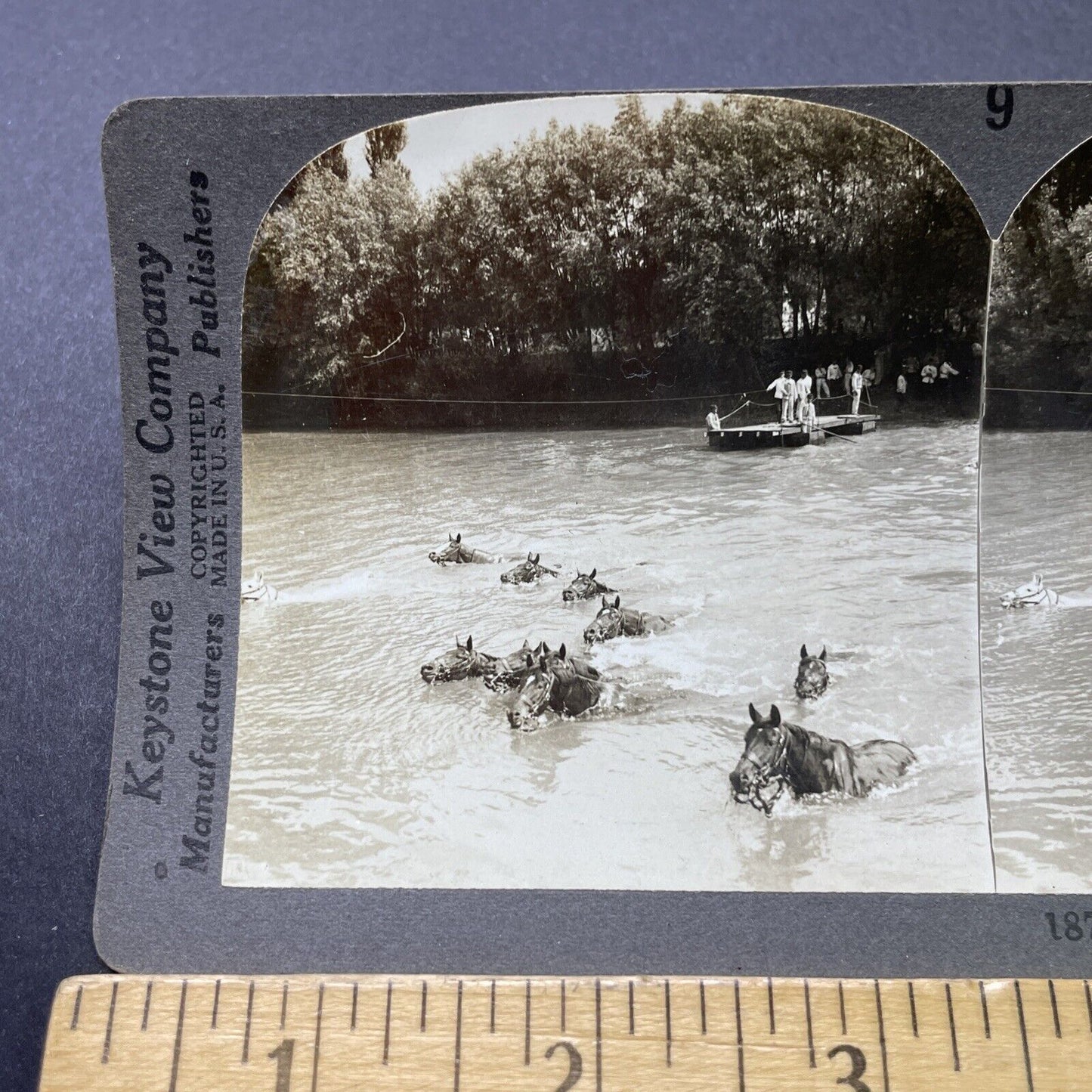 Antique 1916 French Cavalry Escapes Across River Stereoview Photo Card P2782