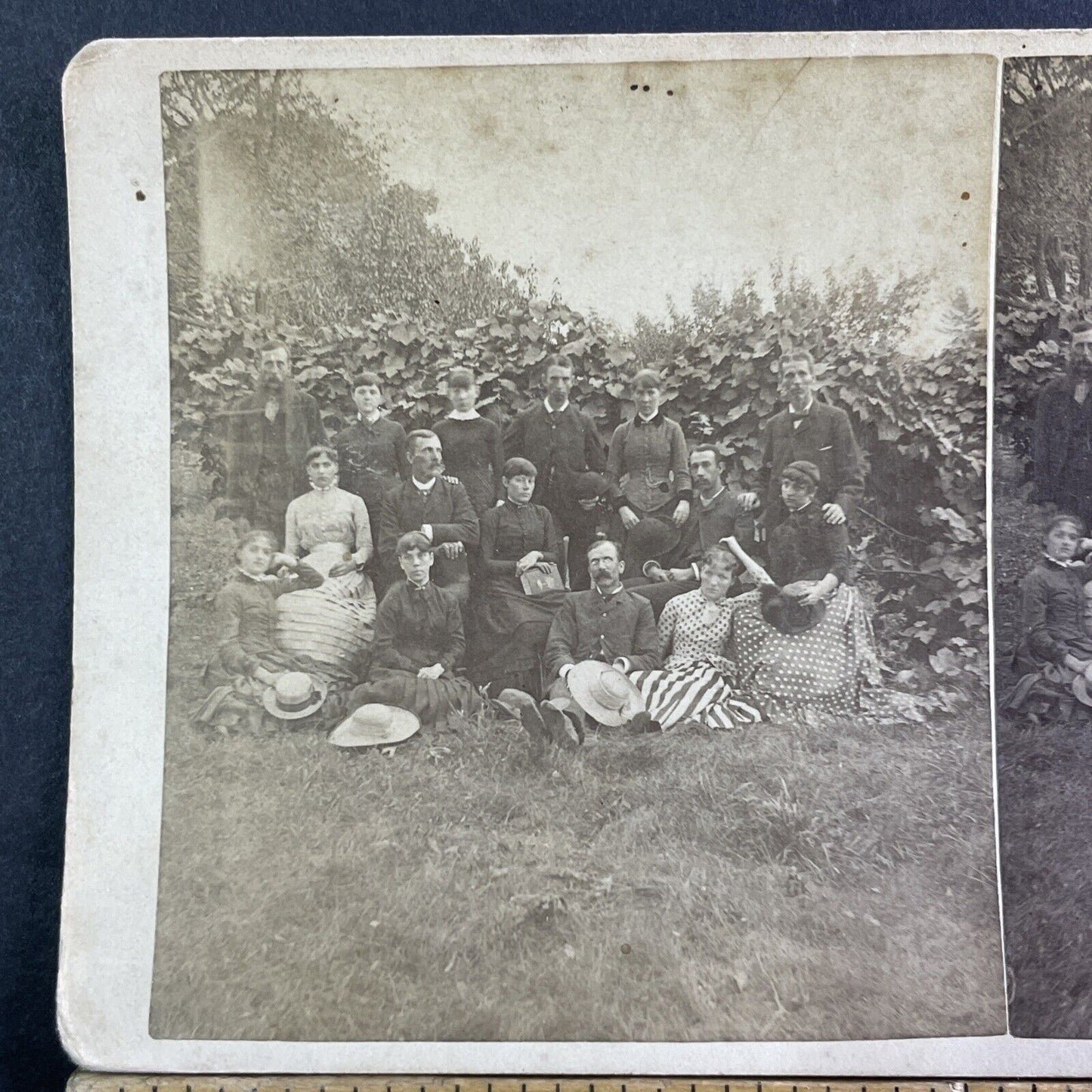 Marxist US Socialism Movement Group Photo Stereoview Antique c1880 X3768