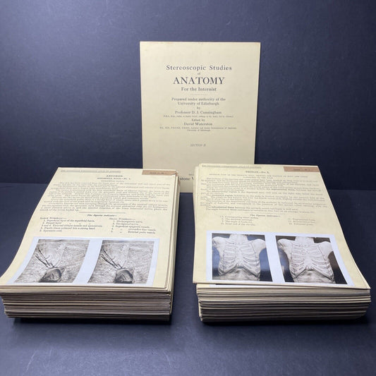 Internal Medicine Anatomy Stereoview 80pc Set Surgical Autopsy Antique 1911
