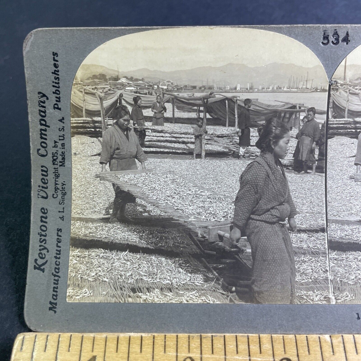 Antique 1905 Millions Of Sardines Beppu Japan Stereoview Photo Card P2115