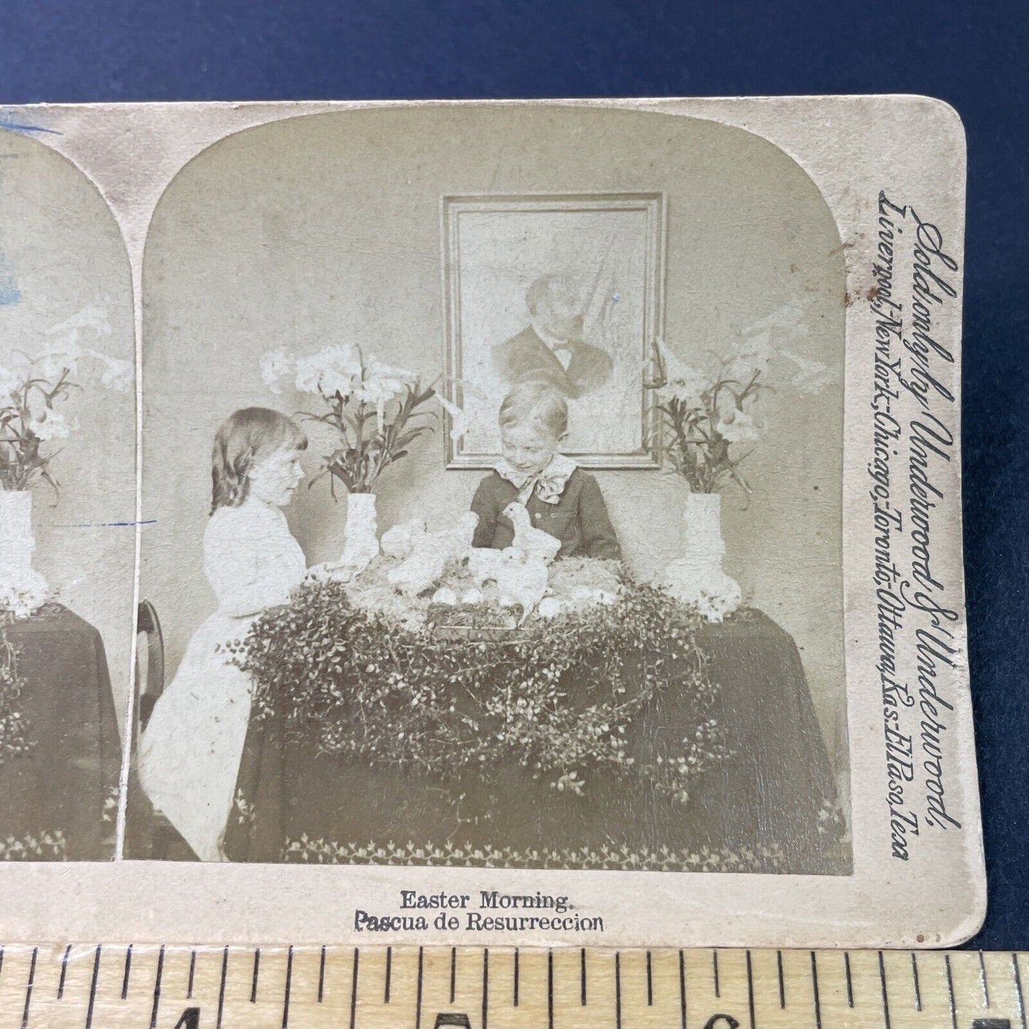 Antique 1892 Children Play With Chicks On Easter Stereoview Photo Card P2938