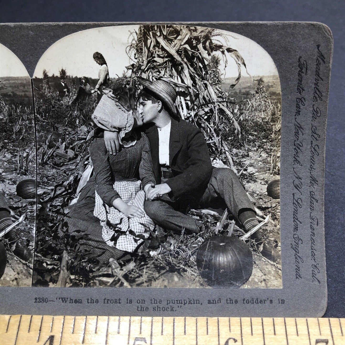 Antique 1900 Teenage Love In Pumpkin Field Kiss Stereoview Photo Card P1990