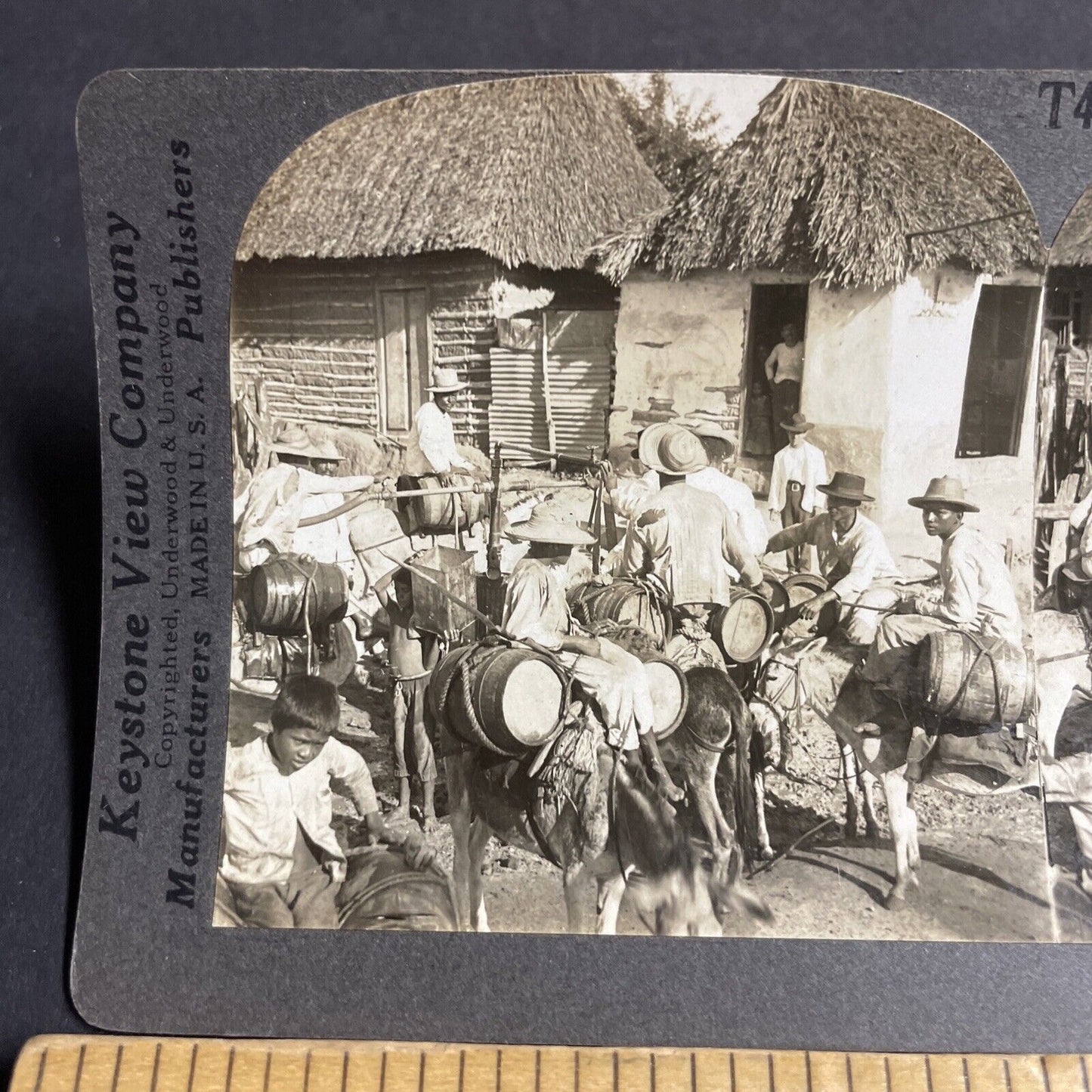 Antique 1910s Donkeys Hauling Water In Colombia Stereoview Photo Card P4499