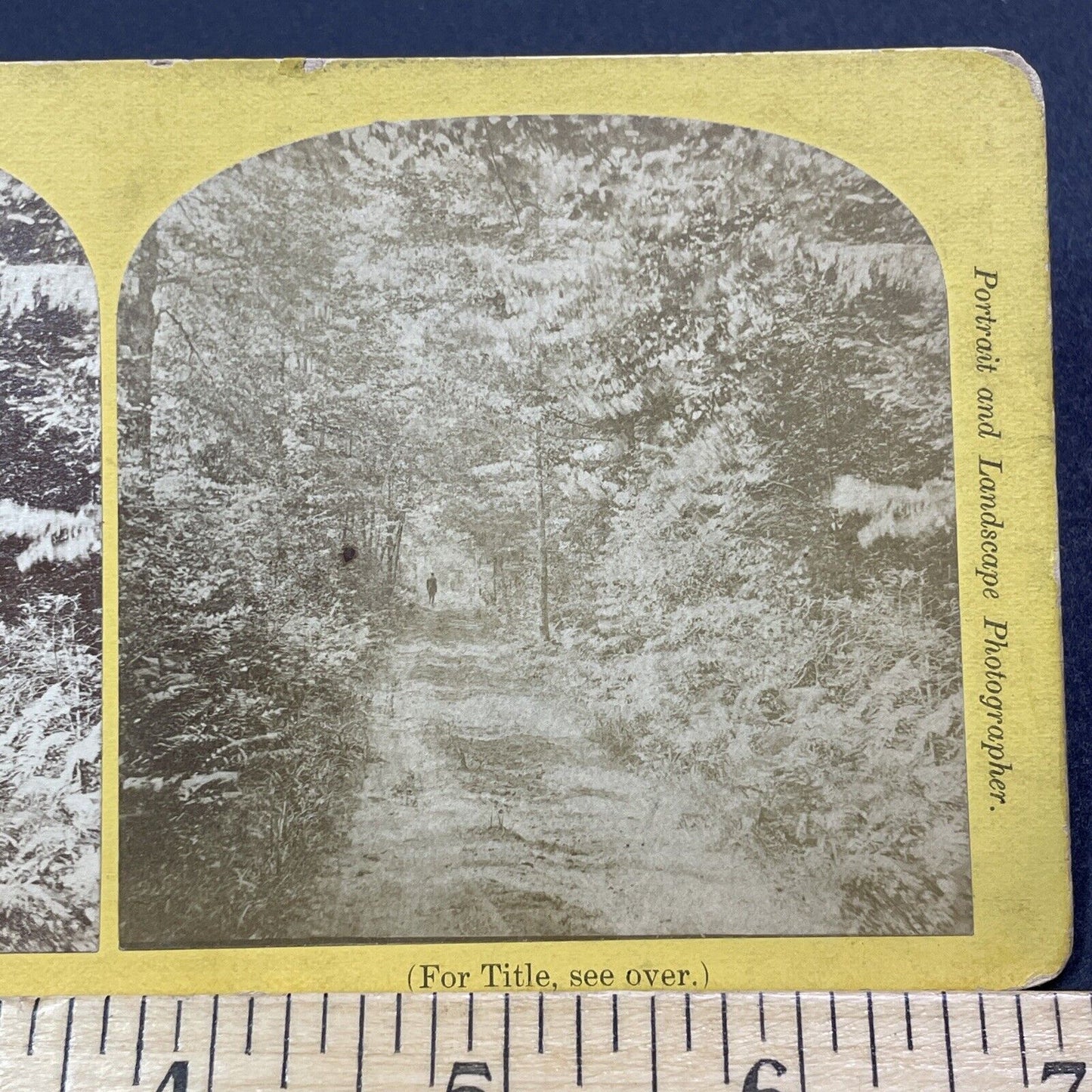 Antique 1870s Silent Way Looking North Keene NH Stereoview Photo Card V2094