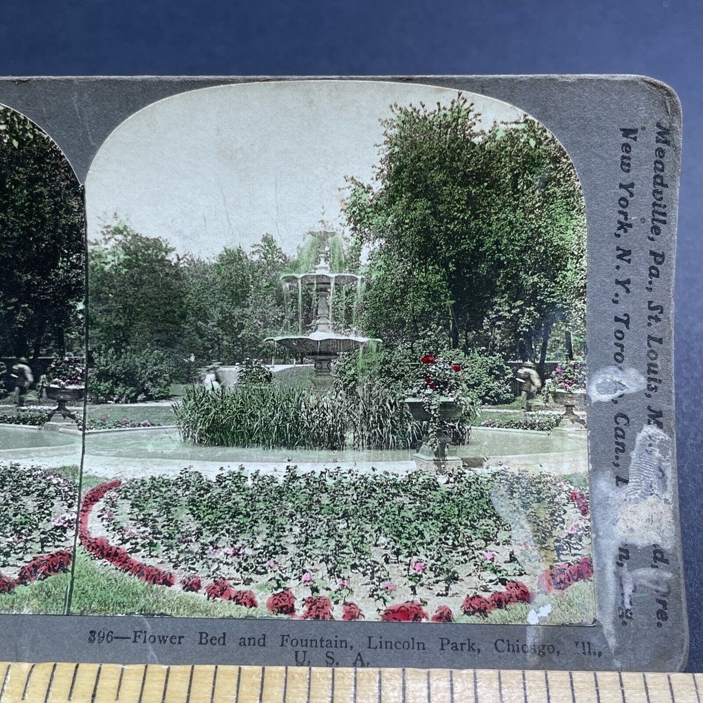 Antique 1909 Lincoln Park Garden Chicago Illinois Stereoview Photo Card P1924