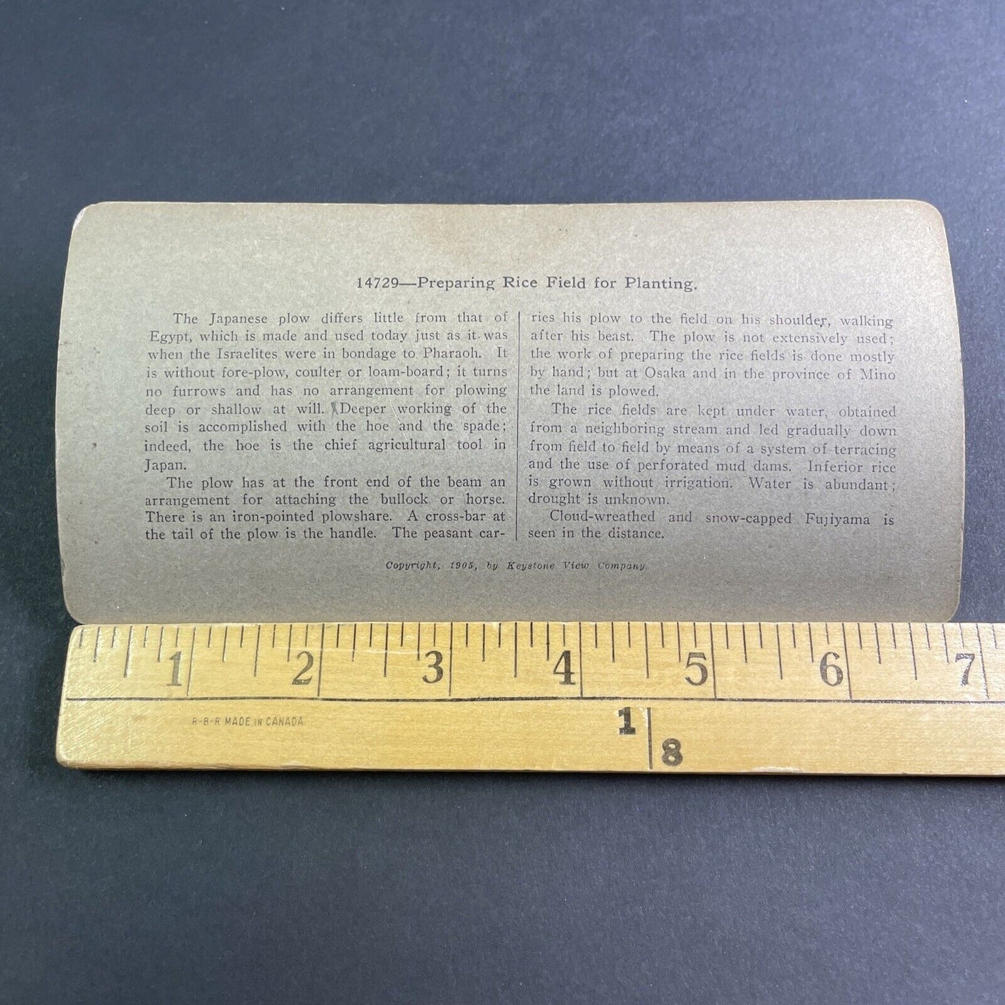 Antique 1904 Hand Plowing Rice Fields In Japan Stereoview Photo Card P2181