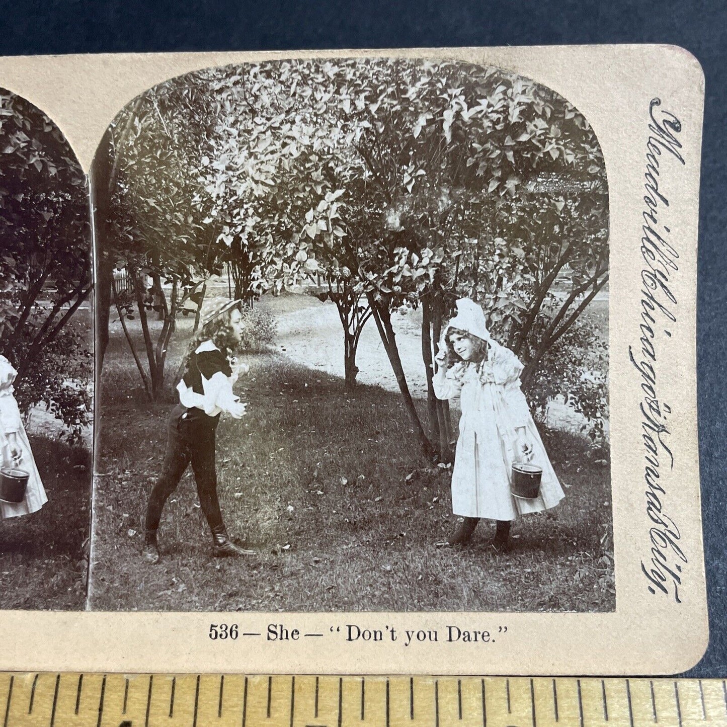 Antique 1893 Children Play Hansel And Gretel Stereoview Photo Card P4734