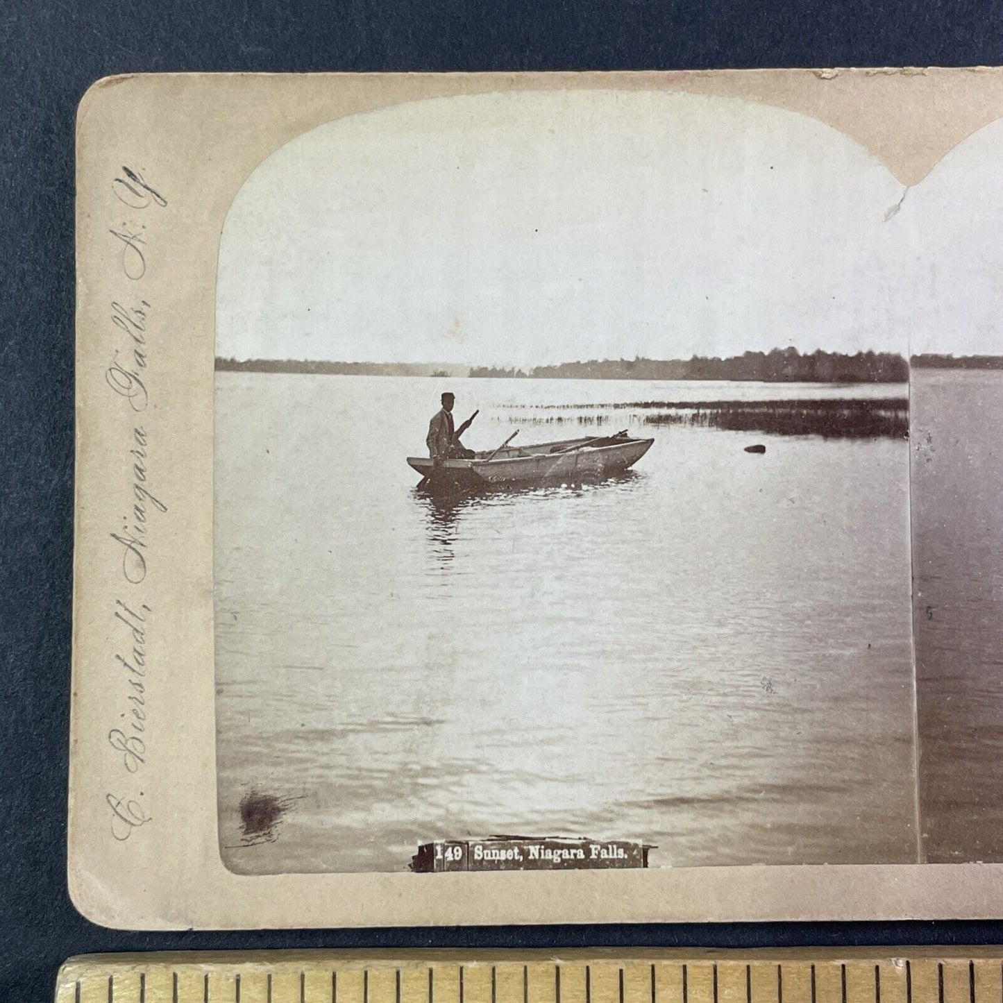 Navy Island Duck Hunt Chippawa Ontario Stereoview Charles Bierstadt c1870s Y1840