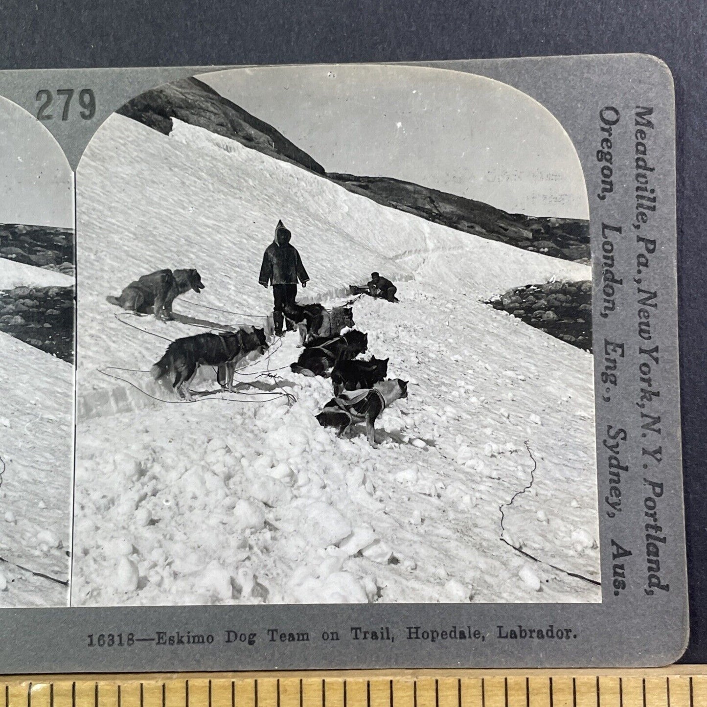 Dogsled Team In Hopedale Labrador Newfoundland Stereoview Antique c1909 X2492