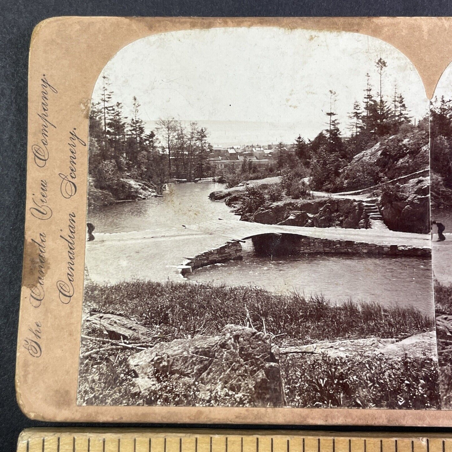 Rockwood Park Bridge Saint John New Brunswick Stereoview Antique c1890s Y1385