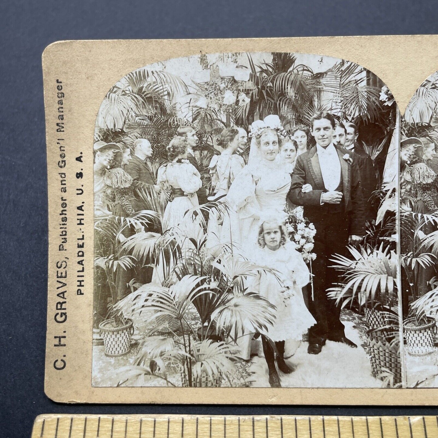 Antique 1890s The Bride, Groom And Flower Girl Stereoview Photo Card P2563