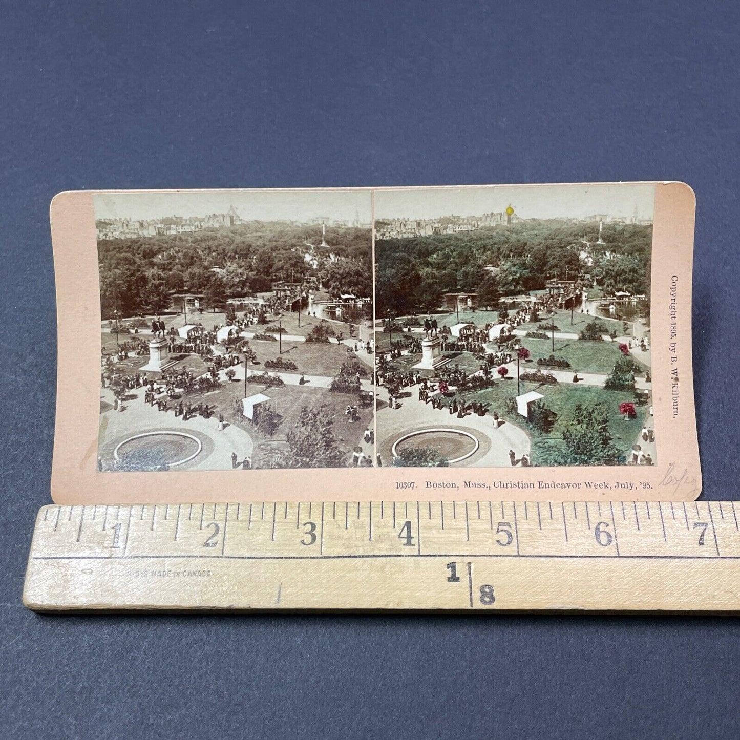 Antique 1895 Christian Endeavour Crowd Boston Common Stereoview Photo Card V1868