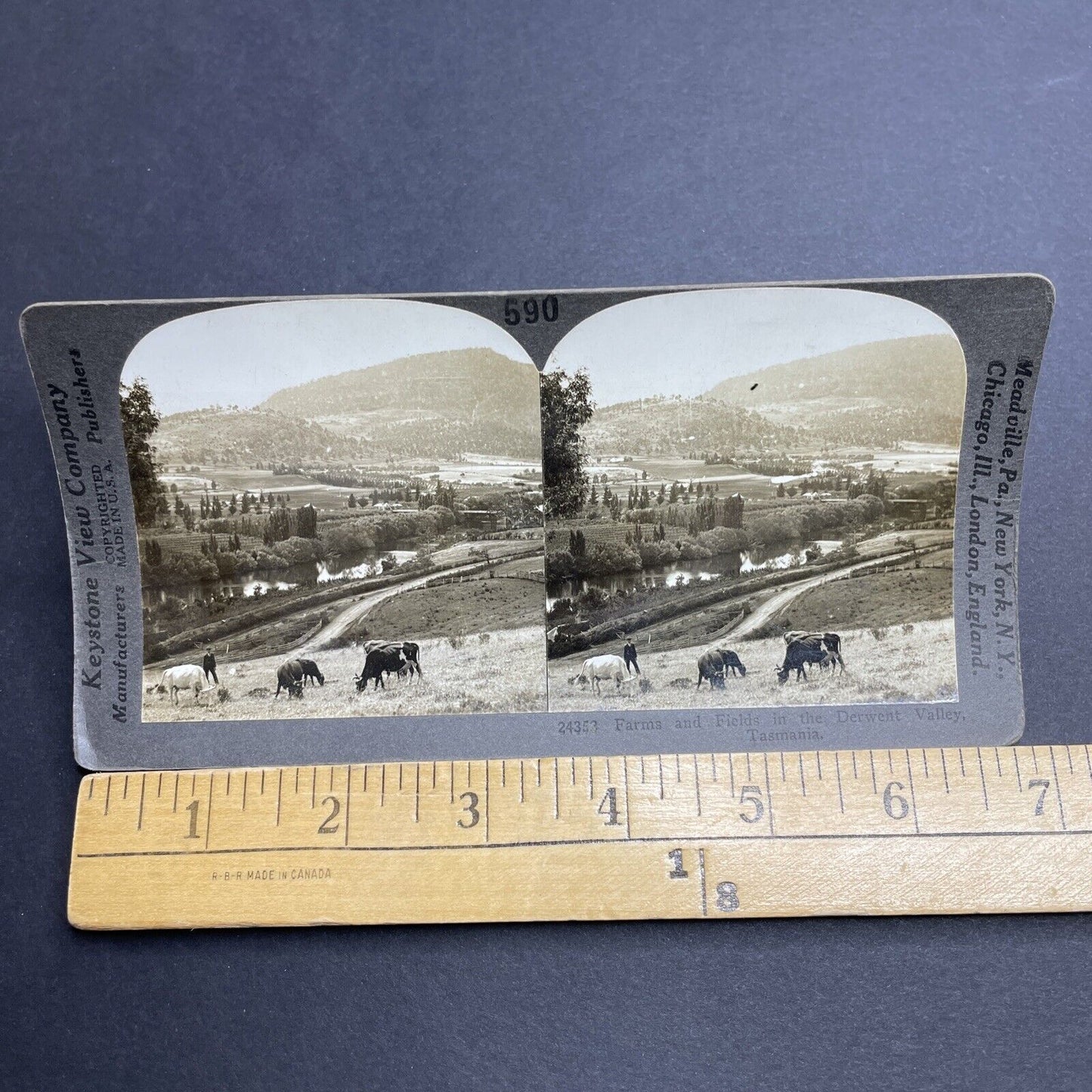 Antique 1920s Derwent Valley Tasmania Stereoview Photo Card P2038