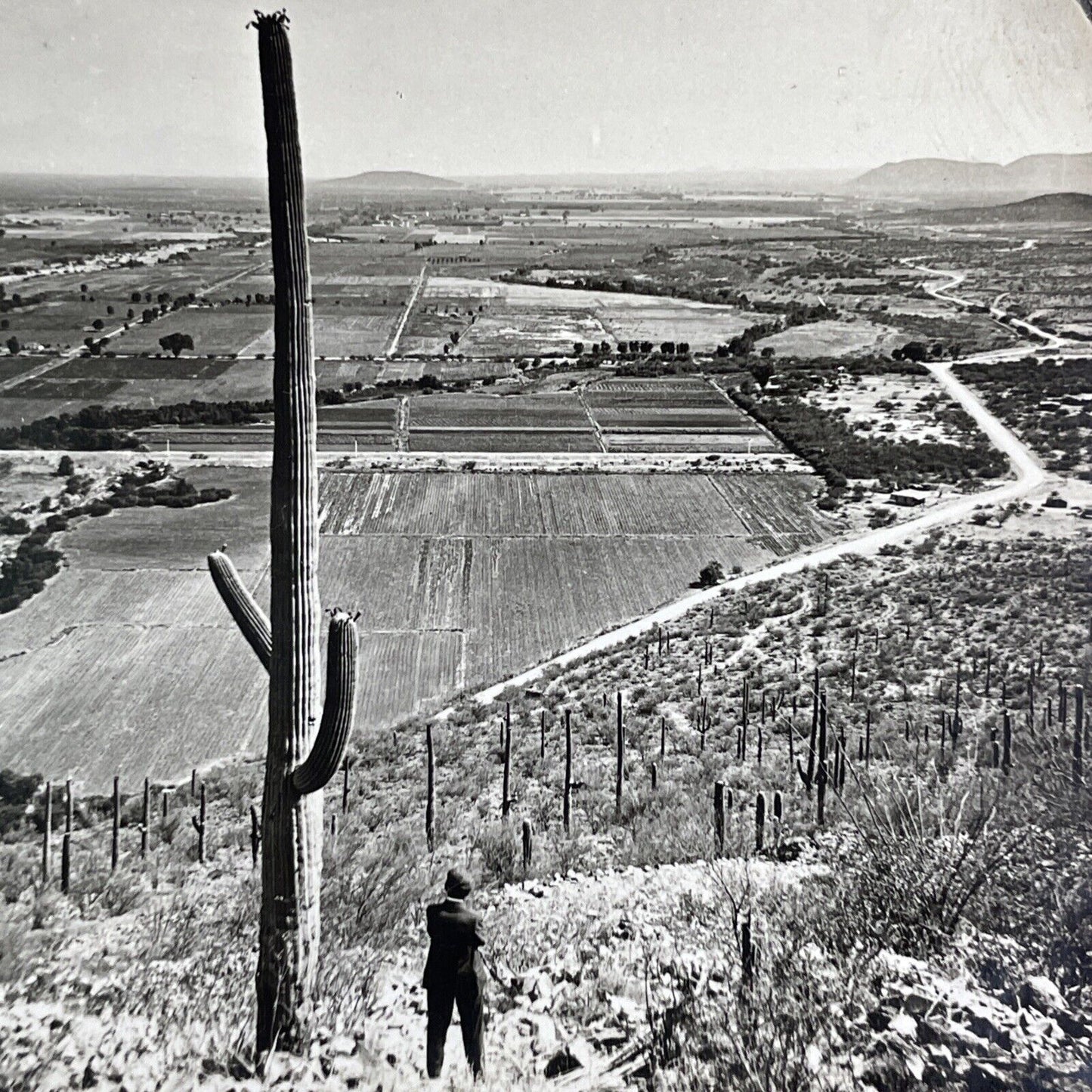 1890s Photo of Phoenix Arizona Stereoview Antique c1910 Y1188