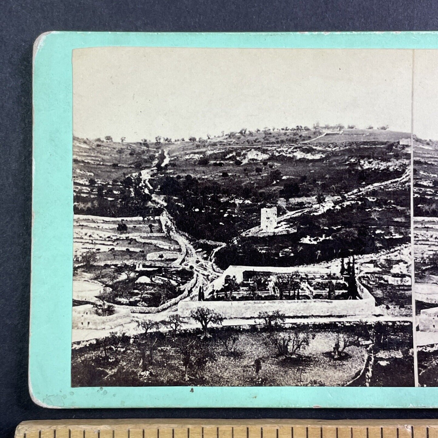 Garden of Gethsemane Israel Palestine Stereoview Salt Print c1860 Y455