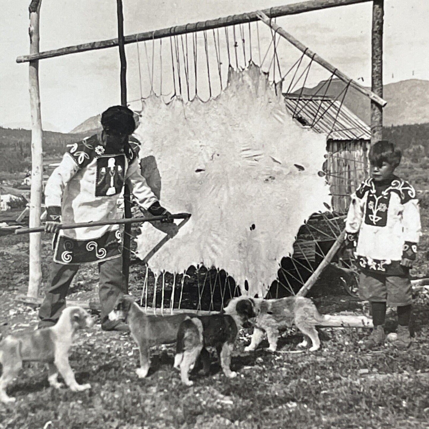 Tlingit Native American Indian Hunter Stereoview Photo Card Antique 1910s X834