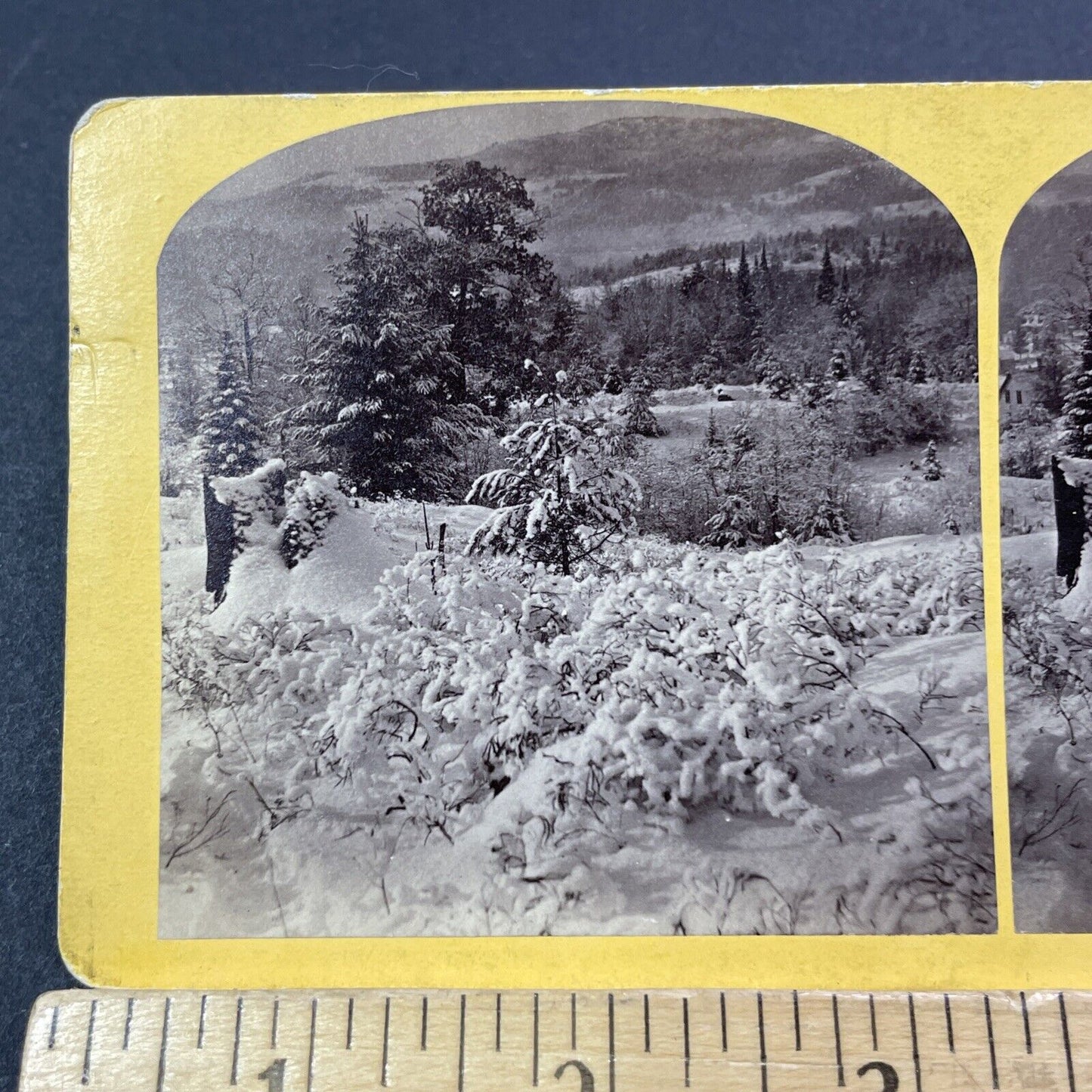 Antique 1874 Great Blizzard Of '74  Near Conway NH Stereoview Photo Card V1767