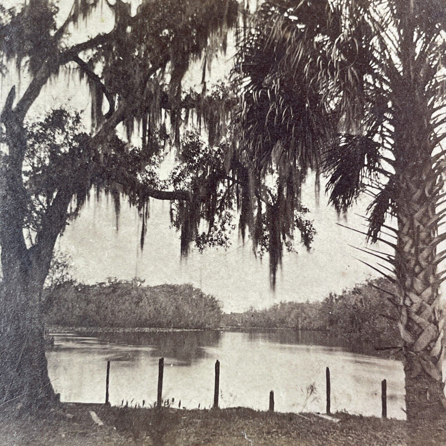 Ocklawaha River Stereoview Welaka Florida Antique c1885 J.I. Mackey Y088