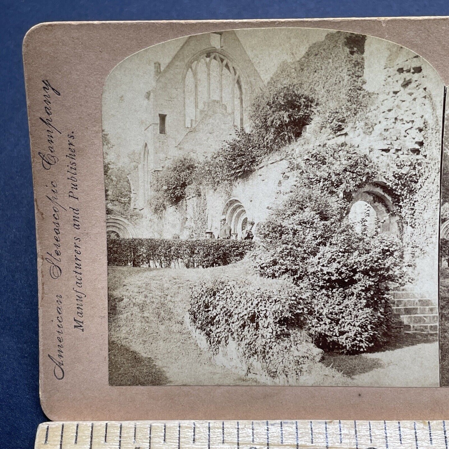 Antique 1897 Dryburgh Abbey Scott's Tomb Scotland Stereoview Photo Card P1844