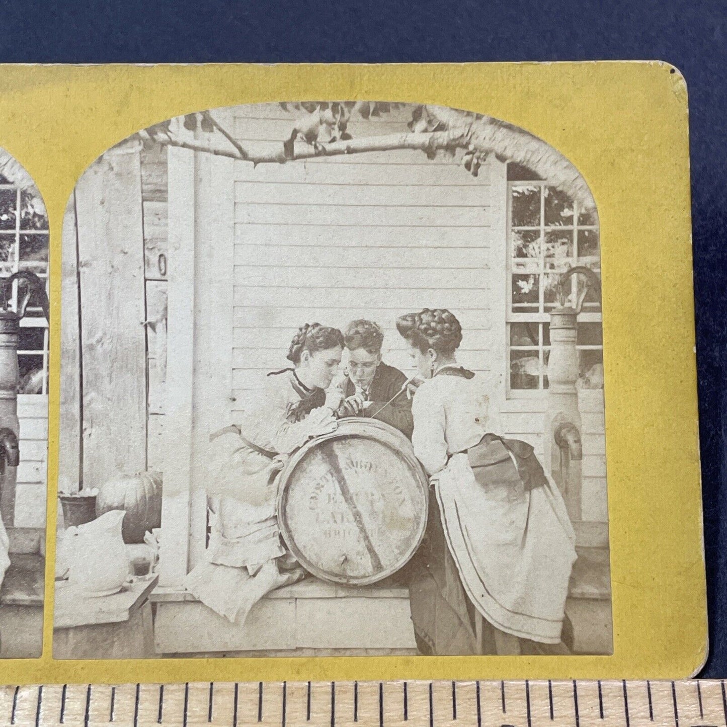 Antique 1872 Edwin Stone House Drinking Pig Fat Swanzey NH Stereoview Card V2109