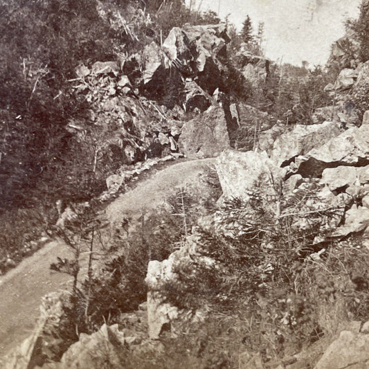 Antique 1870s Crawford Notch Horse & Buggy Road NH Stereoview Photo Card V1996