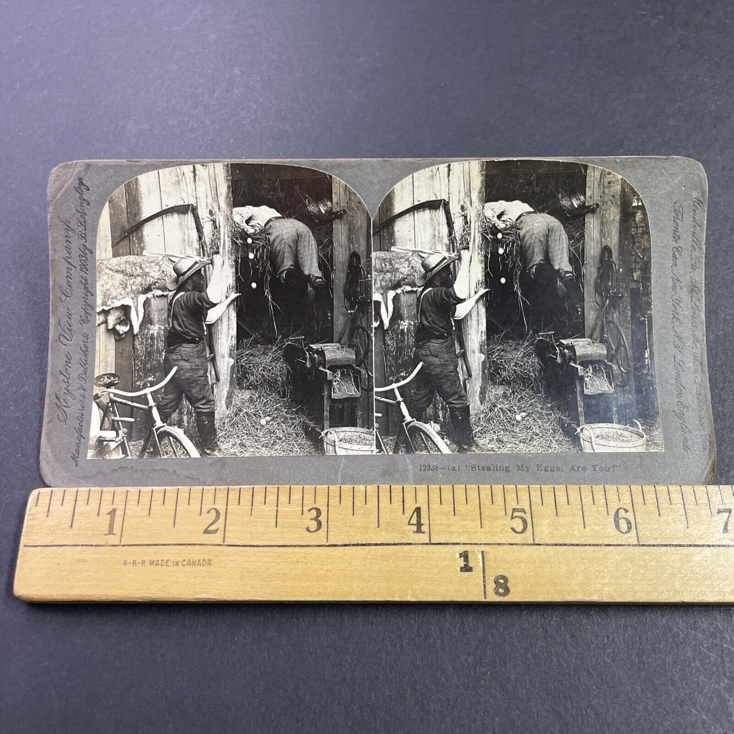 Antique 1903 Man Beats Robber For Stealing Eggs Stereoview Photo Card P3460