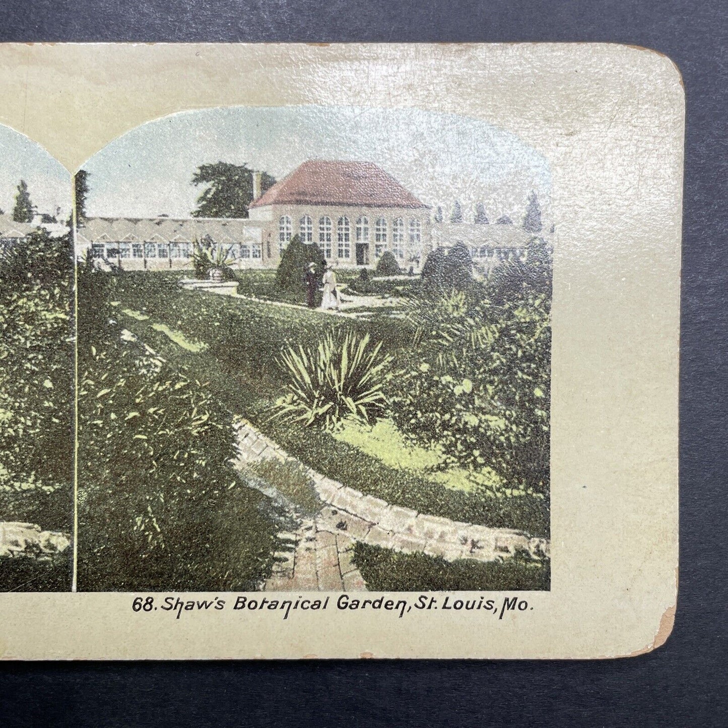 Antique 1904 Botanical Gardens In St. Louis Missouri Stereoview Photo Card P1213