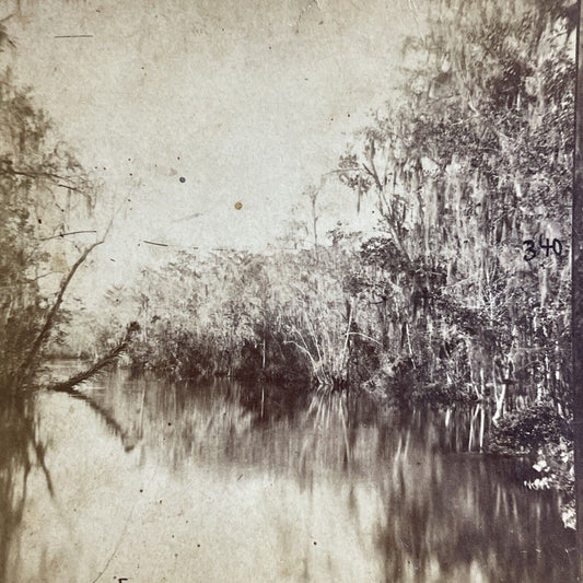 Antique 1870s Ocklawaha River Florida Stereoview Photo Card P4874