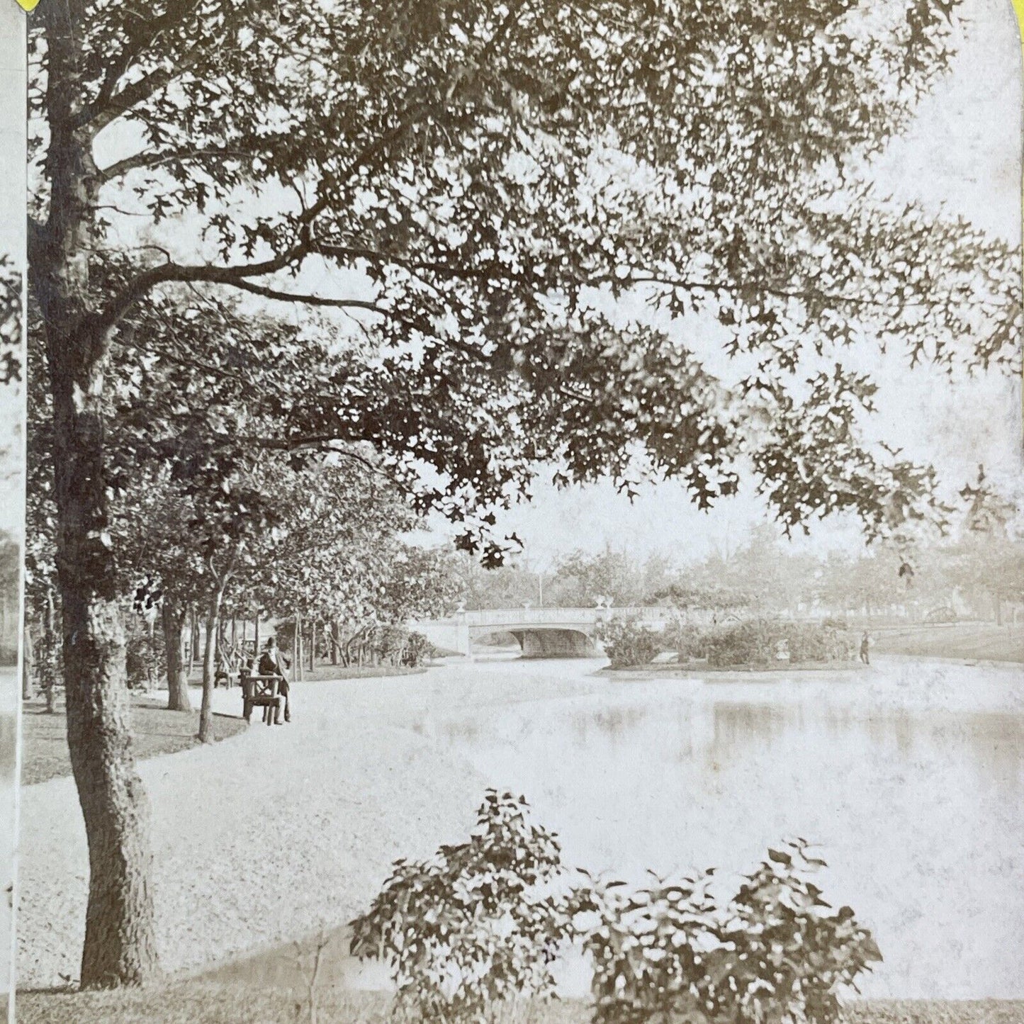 South Park Chicago Illinois Stereoview E. Lovejoy Antique c1870s Y2831