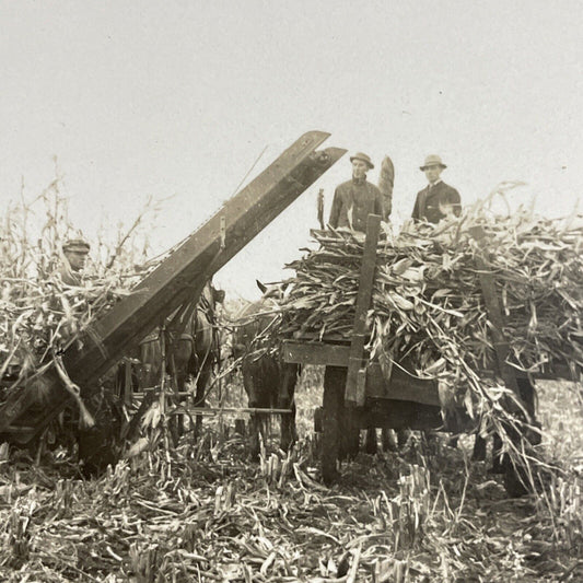 Antique 1910s Primitive Corn Harvesting Machine WI Stereoview Photo Card P4865